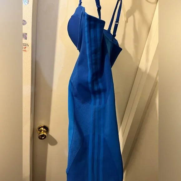 Ivy Park- size women’s L- Rodeo- glory blue gorgeous dress. NWT. - Picture 5 of 5